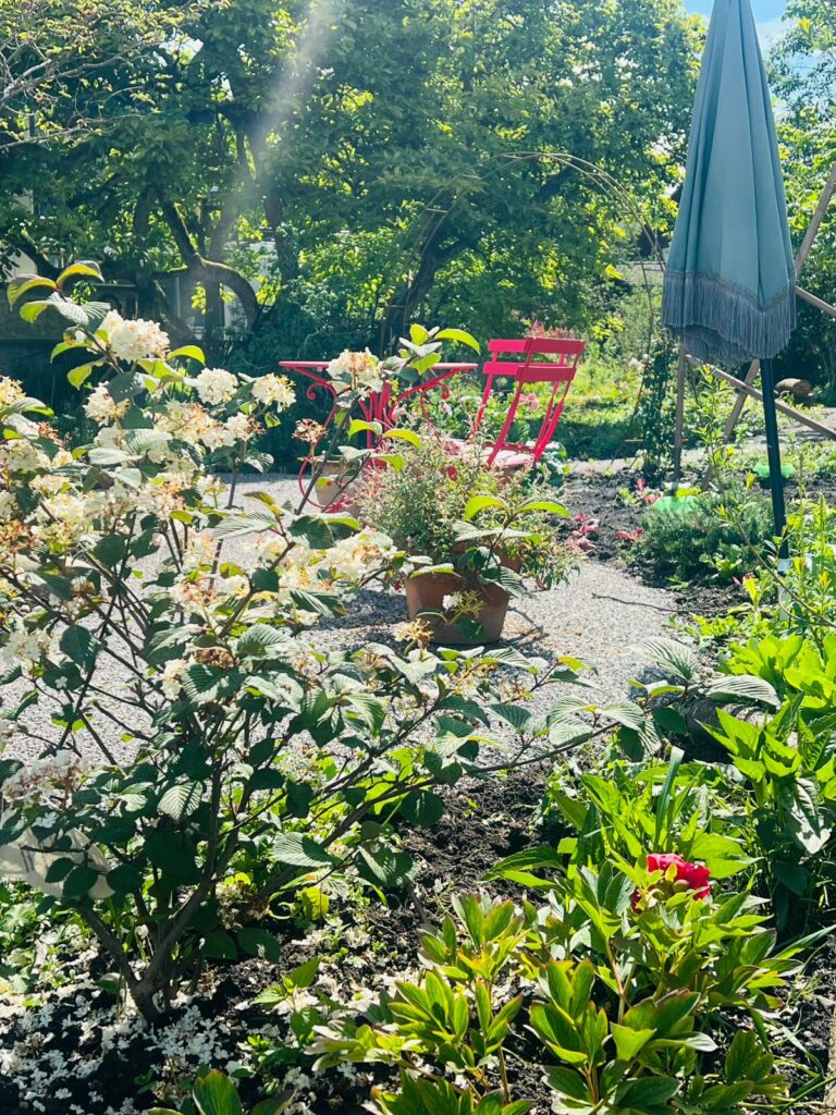 Im Blumengarten in Burgdorf, lokale Blumen